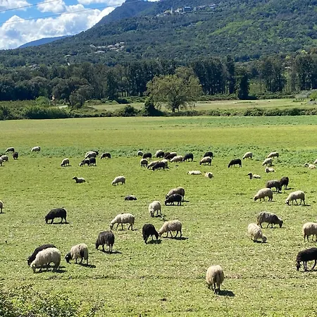 Διαμέρισμα Terra Bella Costa T2 Classe 3 Etoiles San-Nicolao