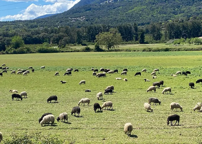 Apartmán Terra Bella Costa T2 Classe 3 Etoiles San-Nicolao